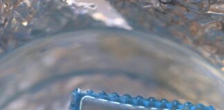 pexels photo 13800877