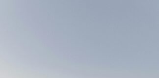 pexels photo 15045077