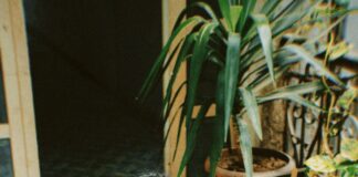 90s 2000s Fashion: Discover Timeless Trends That Shaped Style pexels photo 16611405