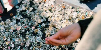 pexels photo 20775323