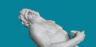 pexels photo 2929886