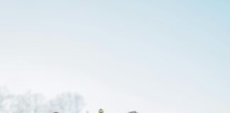 Fashion Gloves: Discover The Must-Have Styles This Season! pexels photo 29875437