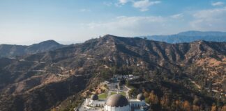 Melanie Griffith Nude: Discover The Secrets Behind Iconic Photos pexels photo 8783536