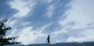 Anna Camp Nude: Discover The Stunning Transformation Behind The Scenes pexels photo 8975489