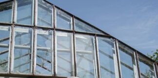 Best Summer Fragrances For Men: Discover Your Perfect Scent