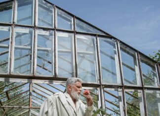 Best Summer Fragrances For Men: Discover Your Perfect Scent