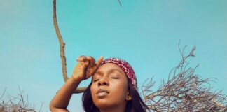 pexels photo 12089886