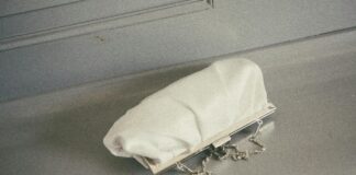 pexels photo 1358840