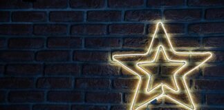 Star Sign For February 28th: Discover Your Unique Zodiac Traits pexels photo 13599837