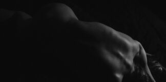 pexels photo 1552520