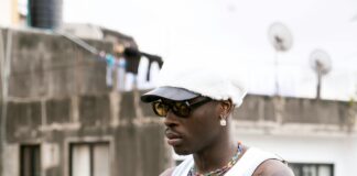 pexels photo 16013681