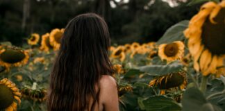 pexels photo 2704051