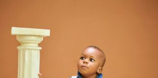 One Piece Nude: Discover The Secrets Behind The Controversy! pexels photo 27823462