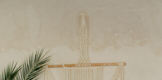 pexels photo 28458015