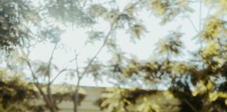 Petite Summer Dresses: Discover Your Perfect Fit for Warm Days pexels photo 28763678