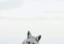 Megan Fox Topless: Discover The Stunning Secrets Behind Her Iconic Looks