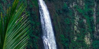 Meghann Fahy Nude: Discover The Stunning Transformation Unveiled pexels photo 31972769