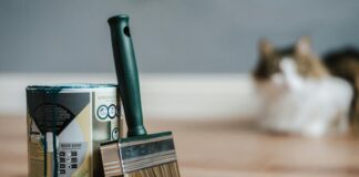 Bristle Brush: Discover The Secret to Perfectly Styled Hair pexels photo 4792527