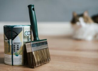 Bristle Brush: Discover The Secret to Perfectly Styled Hair