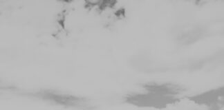 pexels photo 9330406